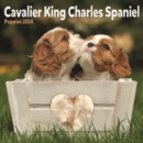 Image for Cavalier King Charles Spaniel Puppies Mini Calendar 2024