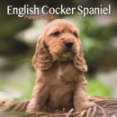 Image for English Cocker Spaniel Puppies Mini Calendar 2024