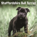 Image for Staffordshire Bull Terrier Puppies Mini Calendar 2024