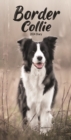 Image for Border Collies Slim Diary 2024