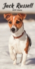 Image for Jack Russell Terriers Slim Diary 2024