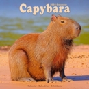 Image for Capybara Calendar 2024  Square Animal Wall Calendar - 16 Month