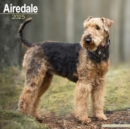 Image for Airedale Calendar 2025 Square Dog Breed Wall Calendar - 16 Month