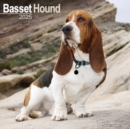 Image for Basset Hound Calendar 2025 Square Dog Breed Wall Calendar - 16 Month