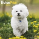 Image for Bichon Frise Calendar 2025 Square Dog Breed Wall Calendar - 16 Month