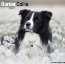 Image for Border Collie Calendar 2025 Square Dog Breed Wall Calendar - 16 Month