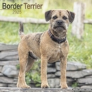 Image for Border Terrier Calendar 2025 Square Dog Breed Wall Calendar - 16 Month
