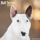 Image for Bull Terrier Calendar 2025 Square Dog Breed Wall Calendar - 16 Month