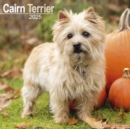 Image for Cairn Terrier Calendar 2025 Square Dog Breed Wall Calendar - 16 Month