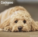 Image for Cockapoo Calendar 2025 Square Dog Breed Wall Calendar - 16 Month