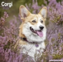Image for Corgi Calendar 2025 Square Dog Breed Wall Calendar - 16 Month