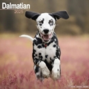 Image for Dalmatian Calendar 2025 Square Dog Breed Wall Calendar - 16 Month