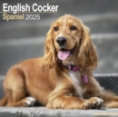 Image for English Cocker Spaniel Calendar 2025 Square Dog Breed Wall Calendar - 16 Month