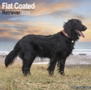 Image for Flatcoated Retriever Calendar 2025 Square Dog Breed Wall Calendar - 16 Month
