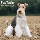 Image for Fox Terrier Wirehaired Calendar 2025 Square Dog Breed Wall Calendar - 16 Month