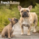 Image for French Bulldog Calendar 2025 Square Dog Breed Wall Calendar - 16 Month