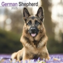 Image for German Shepherd Calendar 2025 Square Dog Breed Wall Calendar - 16 Month