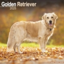 Image for Golden Retriever Calendar 2025 Square Dog Breed Wall Calendar - 16 Month