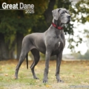 Image for Great Dane (Euro) Calendar 2025 Square Dog Breed Wall Calendar - 16 Month