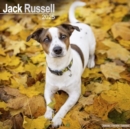 Image for Jack Russell Calendar 2025 Square Dog Breed Wall Calendar - 16 Month