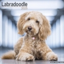 Image for Labradoodle Calendar 2025 Square Dog Breed Wall Calendar - 16 Month