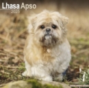 Image for Lhasa Apso Calendar 2025 Square Dog Breed Wall Calendar - 16 Month