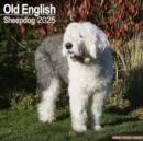 Image for Old English Sheepdog Calendar 2025 Square Dog Breed Wall Calendar - 16 Month