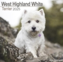 Image for West Highland White Terrier Calendar 2025 Square Dog Breed Wall Calendar - 16 Month