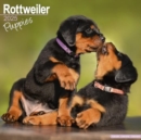 Image for Rottweiler Puppies Calendar 2025 Square Dog Puppy Breed Wall Calendar - 16 Month