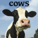 Image for Cows Calendar 2025 Square Farm Animal Wall Calendar - 16 Month