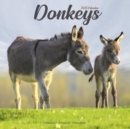 Image for Donkeys Calendar 2025 Square Animal Wall Calendar - 16 Month