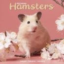 Image for Hamsters Calendar 2025 Square Animal Wall Calendar - 16 Month