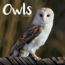 Image for Owls Calendar 2025 Square Birds Wall Calendar - 16 Month