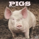 Image for Pigs Calendar 2025 Square Farm Animal Wall Calendar - 16 Month