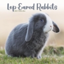 Image for Rabbits - Lop Eared Calendar 2025 Square Animal Wall Calendar - 16 Month