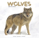 Image for Wolves Calendar 2025 Square Animal Wall Calendar - 16 Month