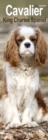 Image for Cavalier King Charles Slim Calendar 2025 Dog Breed Slimline Calendar - 12 Month