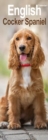 Image for English Cocker Spaniel Slim Calendar 2025 Dog Breed Slimline Calendar - 12 Month