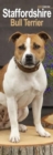 Image for Staffordshire Bull Terrier Slim Calendar 2025 Dog Breed Slimline Calendar - 12 Month
