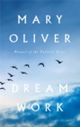 Image for Dream Work