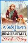 Image for A Safe Haven on Beamer Street