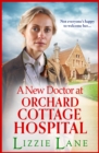 Image for A new doctor at Orchard Cottage Hospital