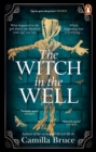 Image for The Witch in the Well : A deliciously disturbing Gothic tale of a revenge reaching out across the years