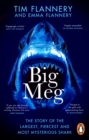 Image for Big Meg