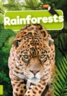 Image for Rainforests