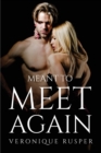 Image for Meant To Meet Again