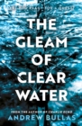 Image for The gleam of clear water