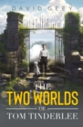 Image for The two worlds of Tom Tinderlee