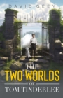Image for The two worlds of Tom Tinderlee