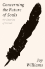 Image for Concerning the Future of Souls : Ninety-Nine Stories of Azrael